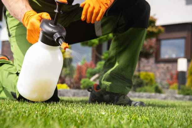 Best Pest Control for Multi-Family Homes  in Des C, AR